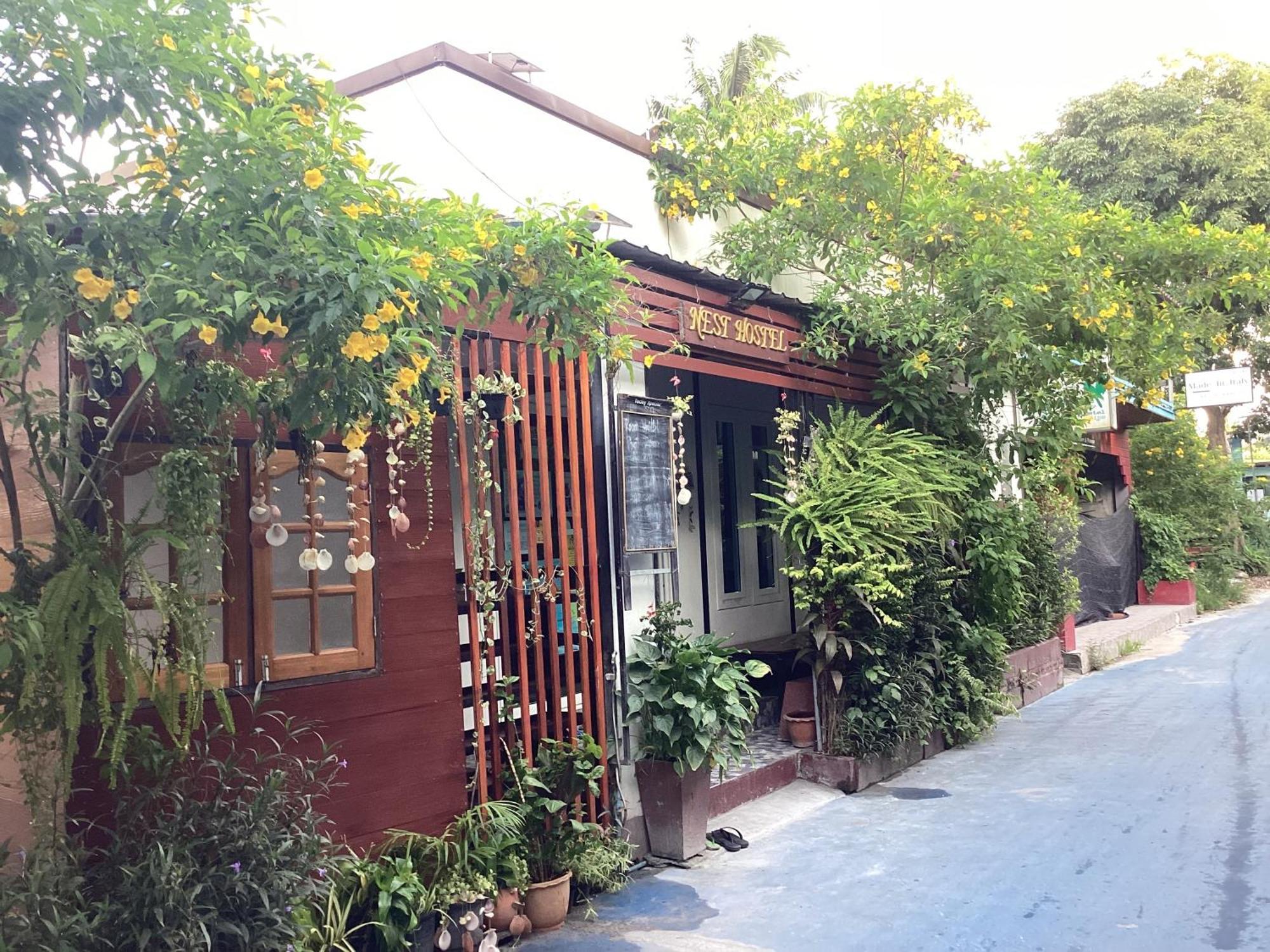 Nest Hostel Lipe Exterior foto