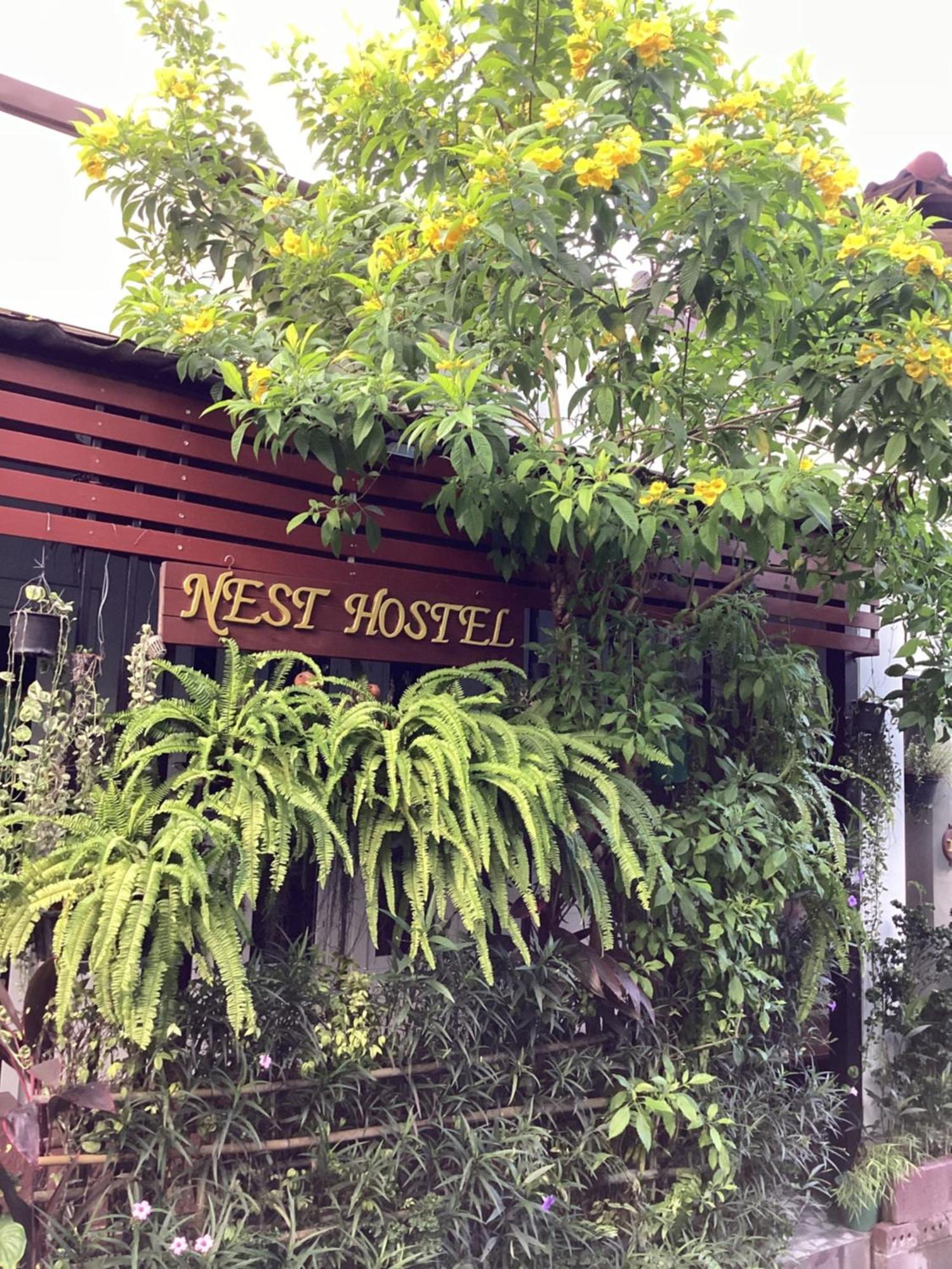 Nest Hostel Lipe Exterior foto